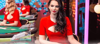 38v bet com